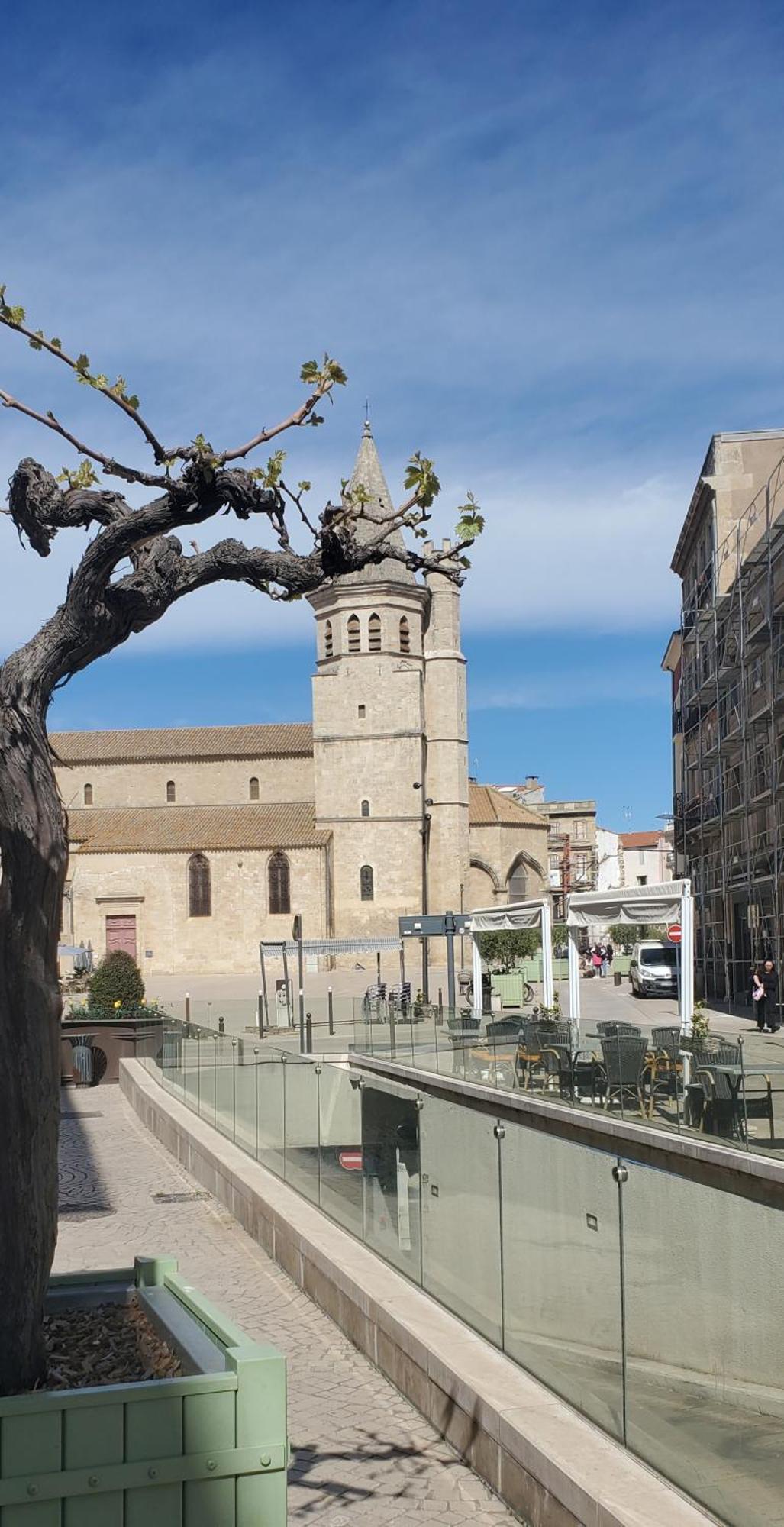 Appartamento La Vaca T3 Standing Climatisation Wifi Netflix Coeur Historique Béziers Esterno foto